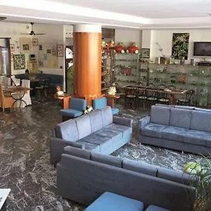 Hotel Astoria ***